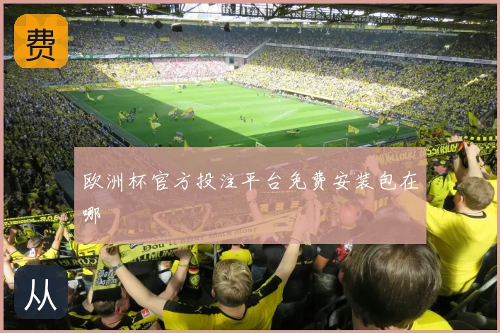欧洲杯官方投注平台免费安装包在哪